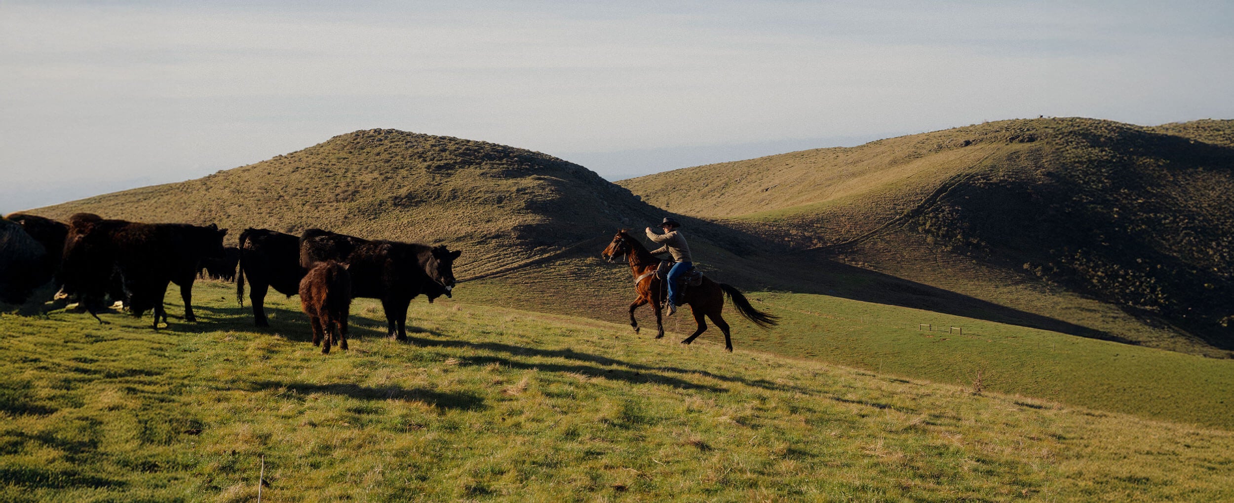 Preserving the Grit of the West